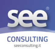 (c) Seeconsulting.it